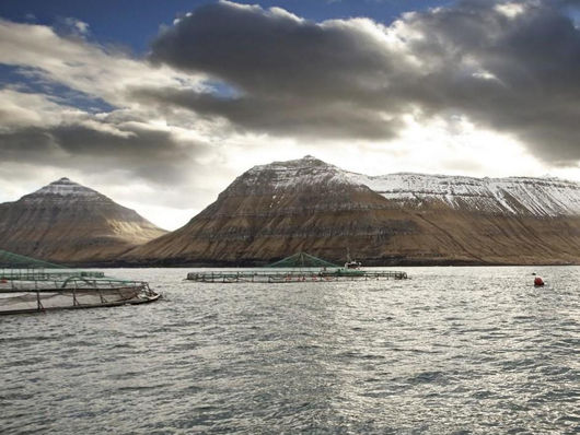 Ov fáar treytir verða settar til aling