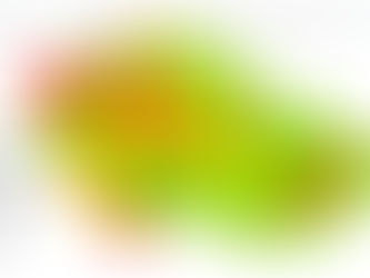 Svrab a žloutenka typu A - epidemie běží