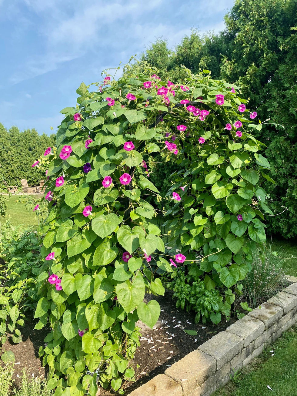 Farm Life - Exterior