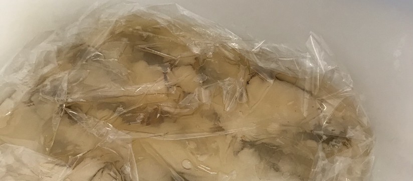 夏場は発酵が早い？