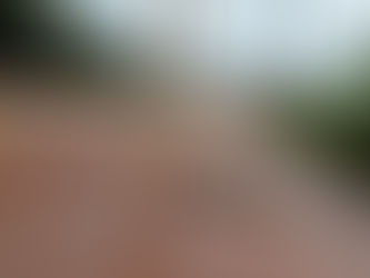 Larápios furtam fios da iluminação pública próximo ao trevo