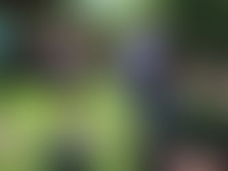 Semas entrega cestas básicas para famílias carentes e trabalhadores informais