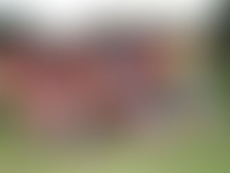 UNIÃO DA VITÓRIA CONQUISTA O SETOR LESTE DA SÉRIE A E SE TORNA BICAMPEÃO.