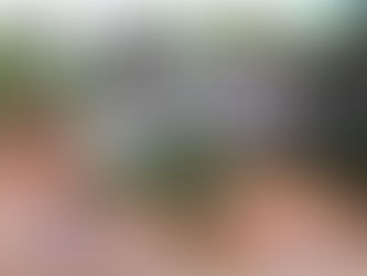 Prefeitura de Espigão do Oeste realiza rebaixamento de morro e recuperação de estradas e pontes na z