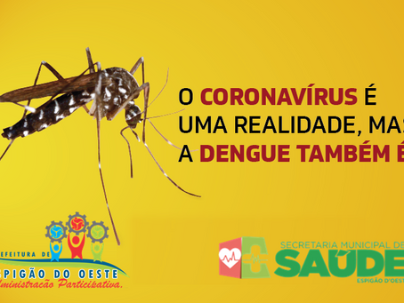 Caso de dengue aumenta assustadoramente em Espigão do Oeste