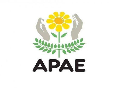 RELATÓRIO DE ATIVIDADE APAE 2021