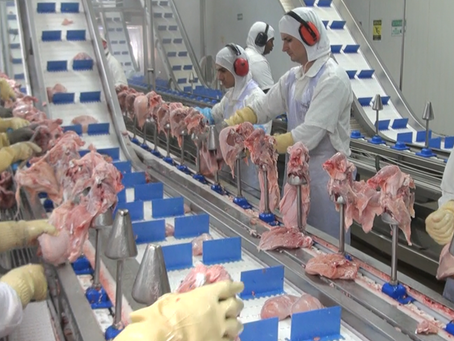 Frigorífico Globoaves de Espigão do Oeste busca parceria com a classe política do município e Est