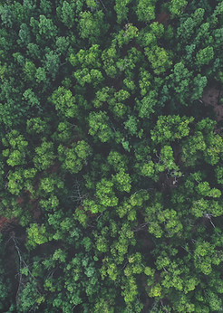 DJI_0711-01.jpeg