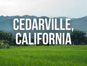 Cedarville, California | City Guide for Travel Healthcare Pros