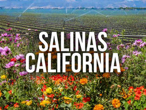 salinas