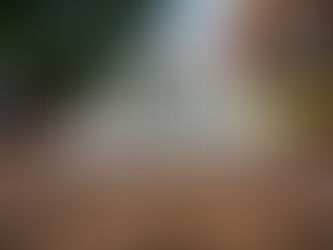 Jackson, Mississippi | City Guide for Travel Healthcare Pros