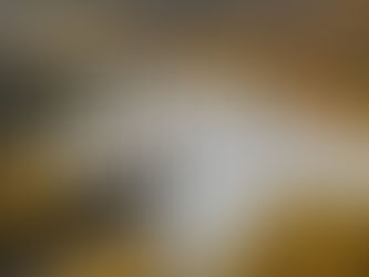 danville Pennsylvania