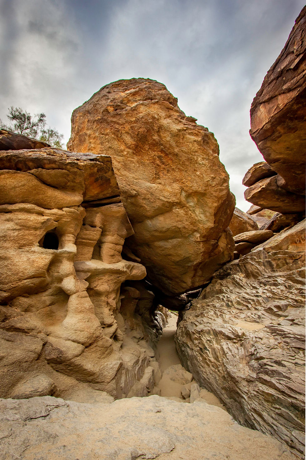 South Valley Hike: Tunnels & Petroglyphs