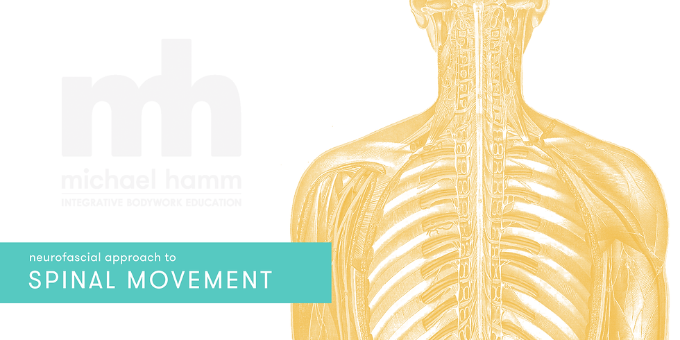 ONLINE - Neurofascial Approach to Spinal Movement