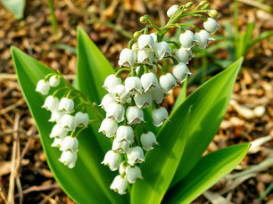 🌸 May’s Flower of the Month: The Sweet Story of Lily of the Valley (and How to Make It Last Forever)