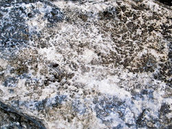 Baikal