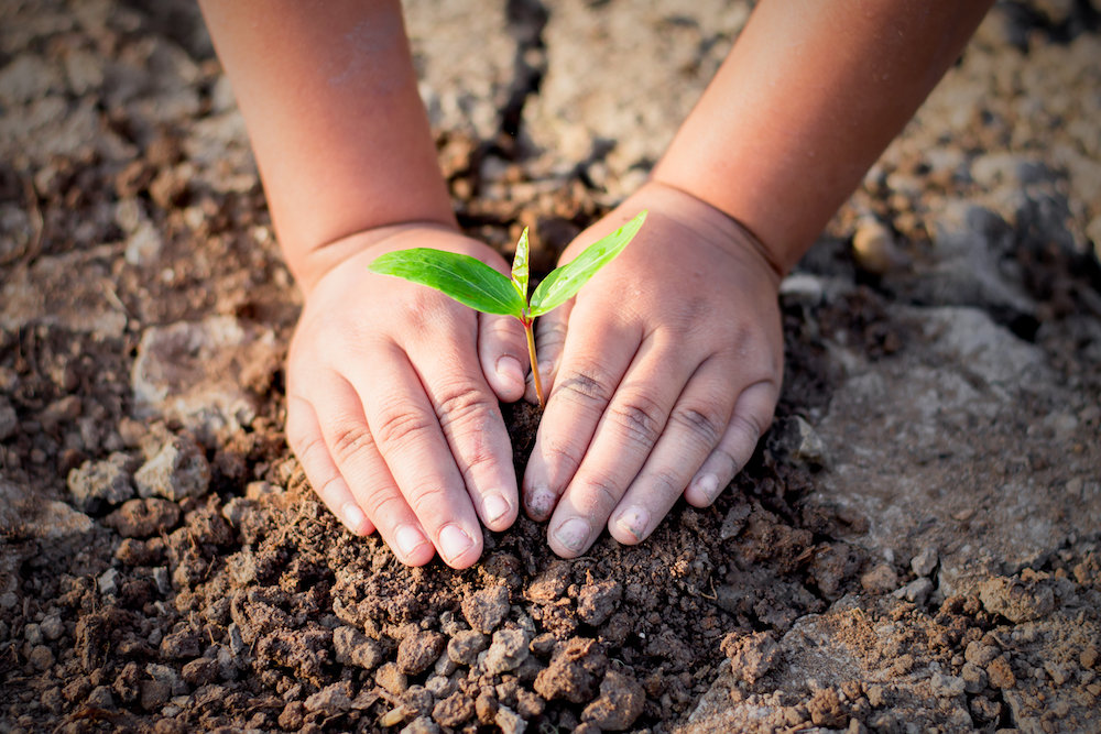 Inquiry-Based Life Science Activities for Children