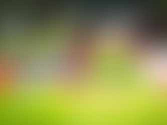 Summer Safety with Children