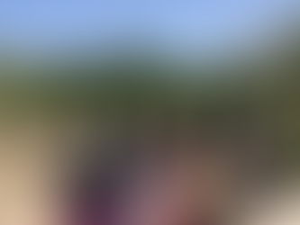 Tamarindos Farm Animas Bajas B.C.S