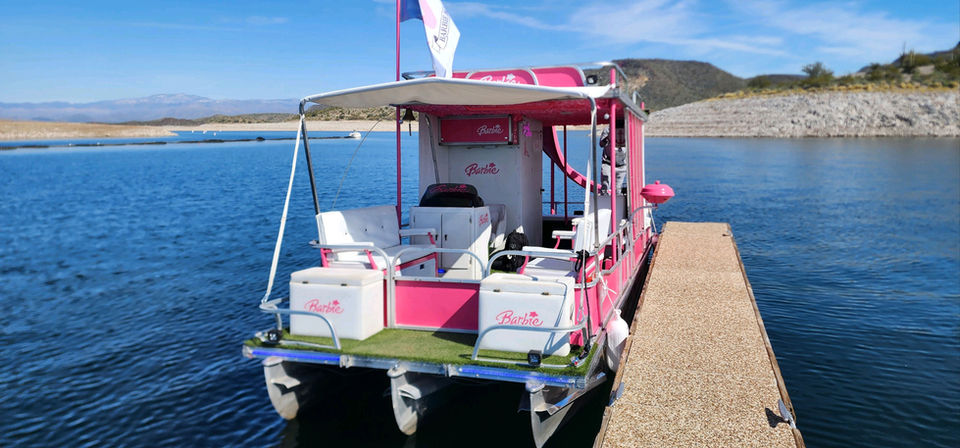 Pink party boat docked at a lake