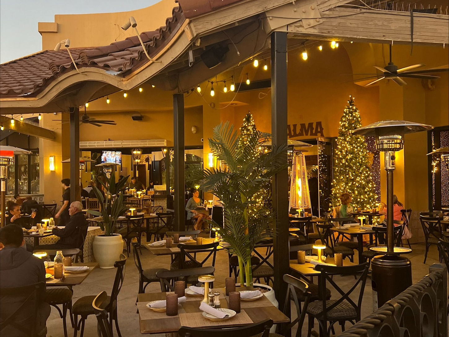 Outdoor patio dining at ALMA Scottsdale, featuring tables, chairs, and a festive Christmas tree.