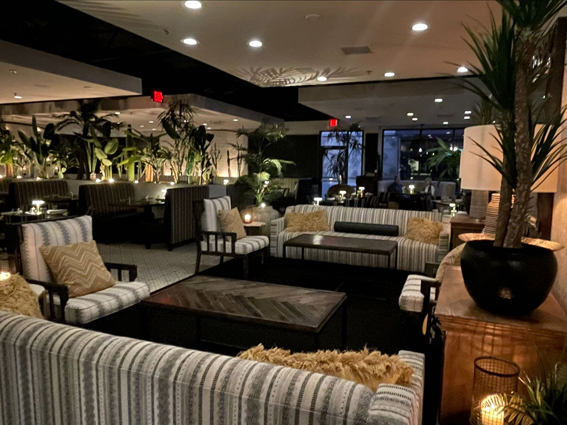 Lounge area with striped sofas, coffee tables, and plants at ALMA Scottsdale