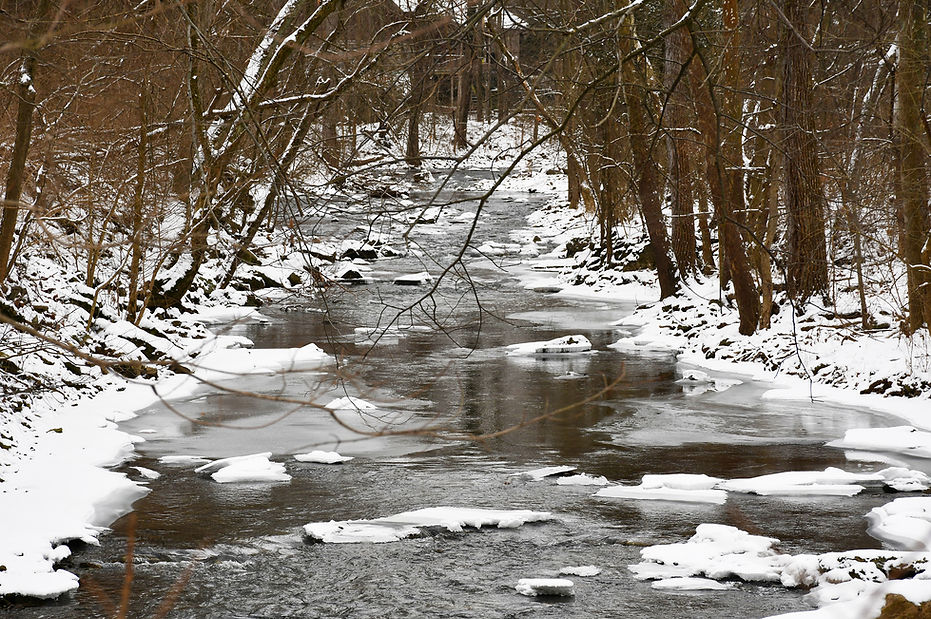 DSC_4291.JPG