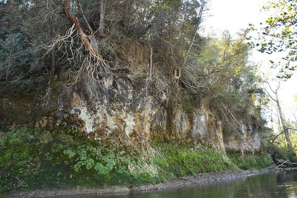 DSC_2663 - Copy.JPG