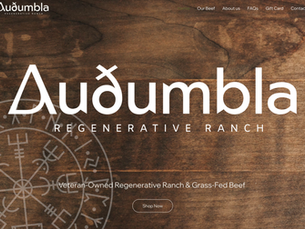 Before & After Audumbla Ranch's Website Redesign