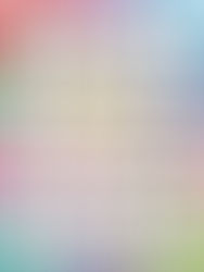 The Twelve Chips of Christmas