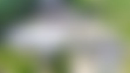 China buyout of chip firm to be reversed by Rees-Mogg ruling on Newport Wafer FAB takeover