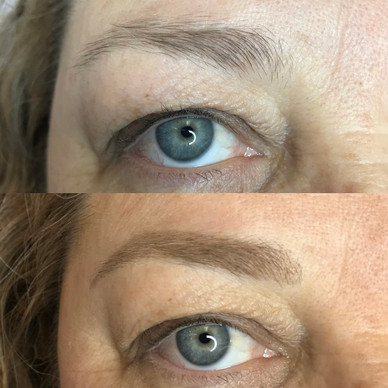 Powder Filled Brows