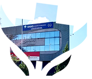sapucaia do sul.png