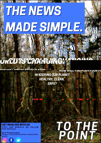 Animated GIF-downsized (1).gif
