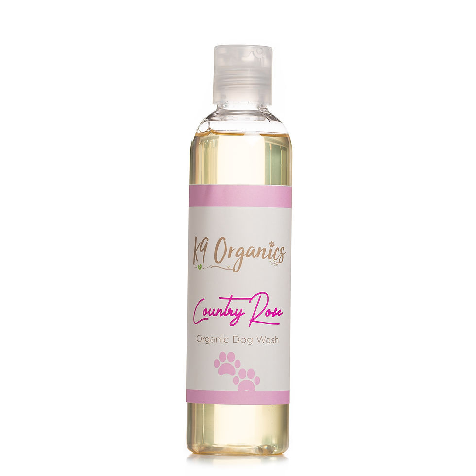 K9 Organics Best Organic Dog Shampoo Uk Vegan Friendly k9-organics-best-organic-dog-shampoo-uk-vegan-friendly