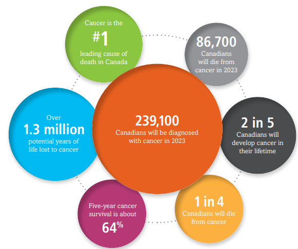Threads of Insight: Exploring the Interconnected World of Cancer Care