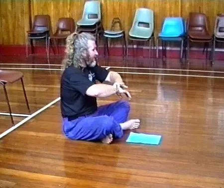 MTG48 The Way Of Taiji Healing & Fighting Vol. 2