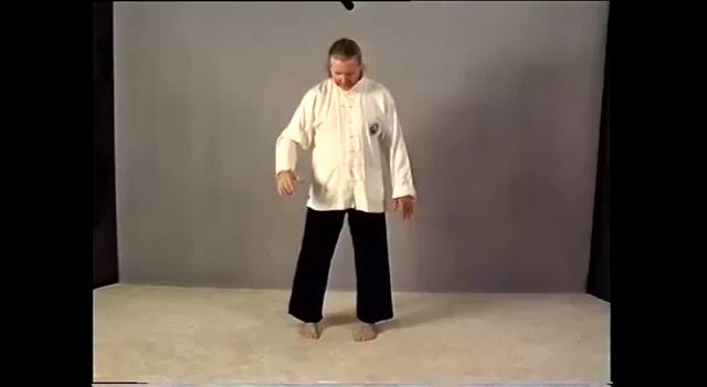Thumbnail: MTG1 Basic Yang Cheng-fu form