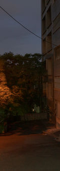 DSC03785.jpg