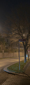 DSC09708.jpg