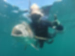 Spearfishing