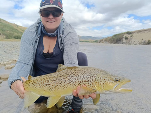 Trout in Canterbury.