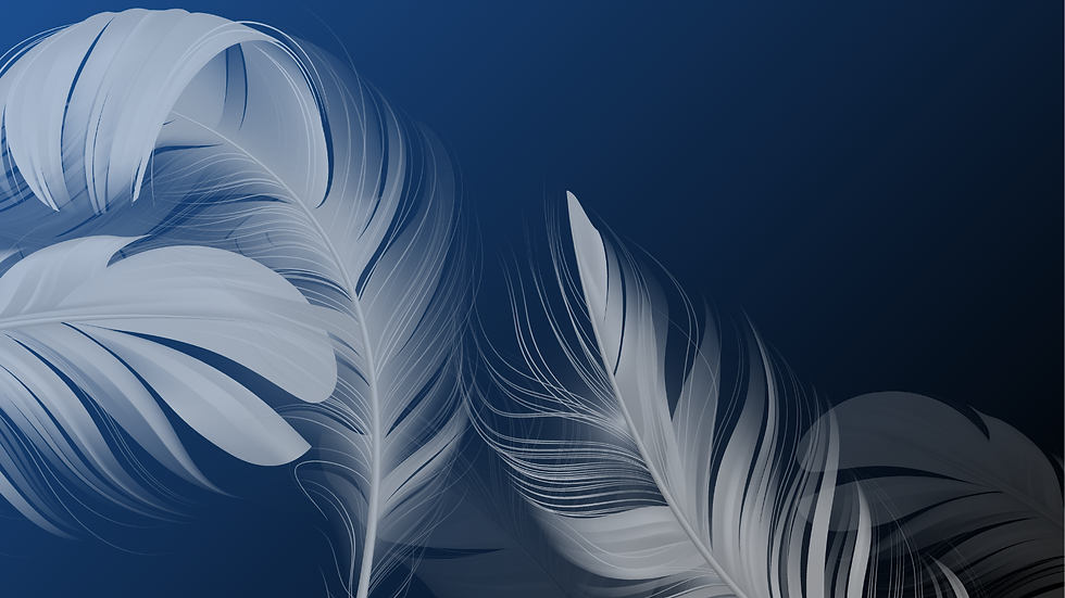 Feather Background (2).png