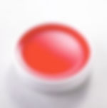 葡萄柚汁 GRAPEFRUIT SYRUP(2.5KG*6BTLS)