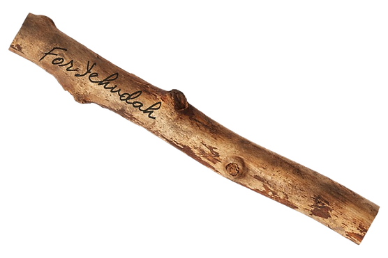For_Yehudah-removebg.png