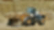 Loader