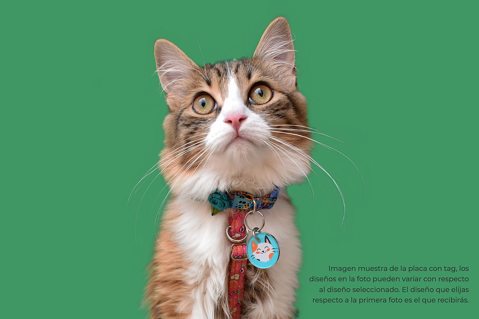 Miniatura: Placa con QR diseño Orion Qrarte Pets