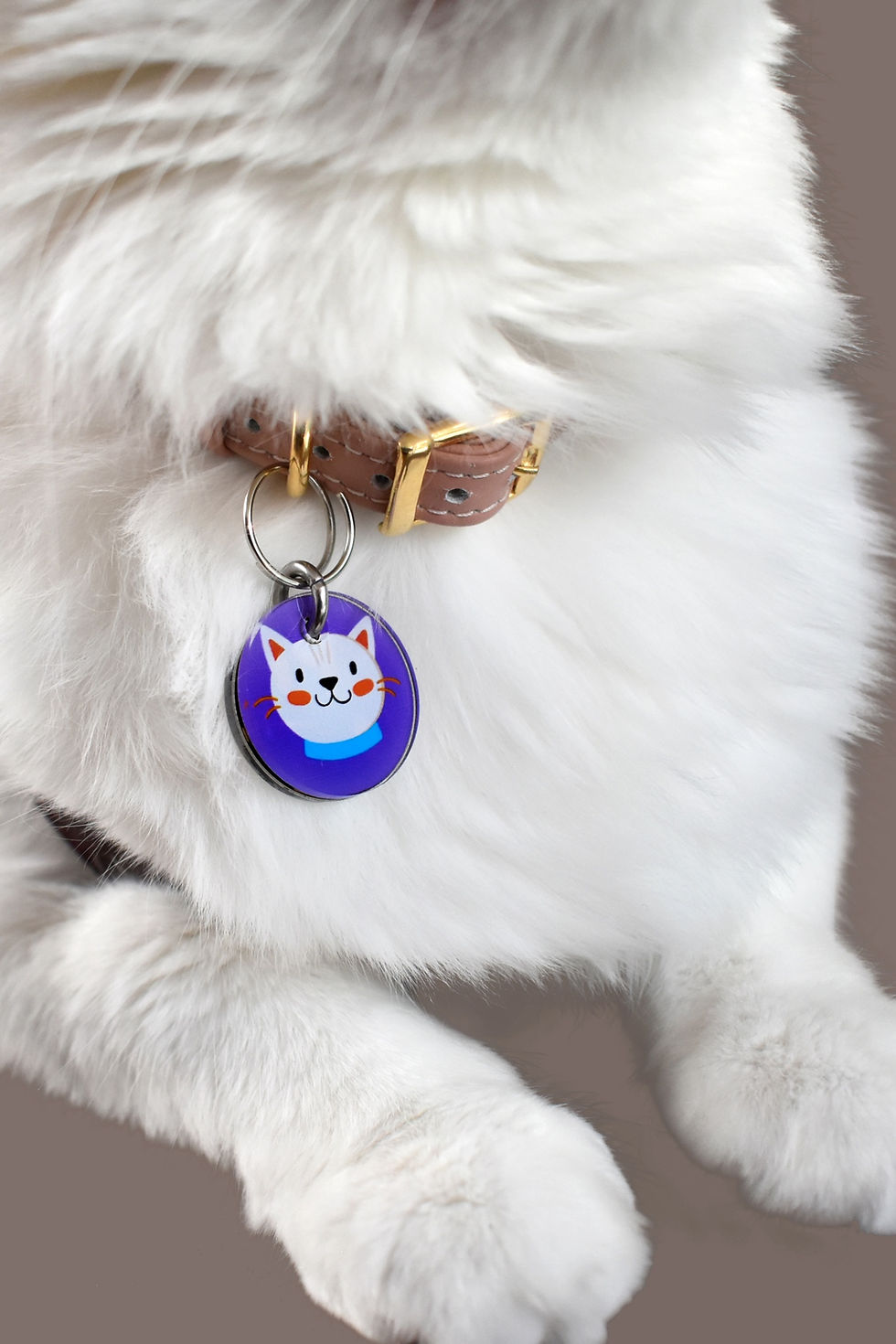 Miniatura: Placa con QR diseño Copito Qrarte Pets