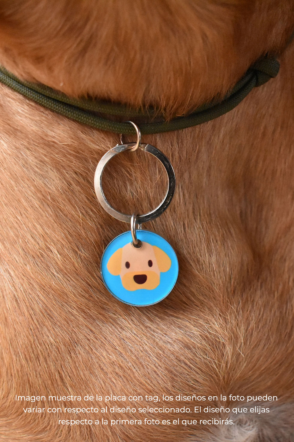 Miniatura: Placa con QR diseño Lucas Qrarte Pets