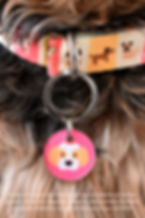 Miniatura: Placa con QR diseño Lucky Qrarte Pets